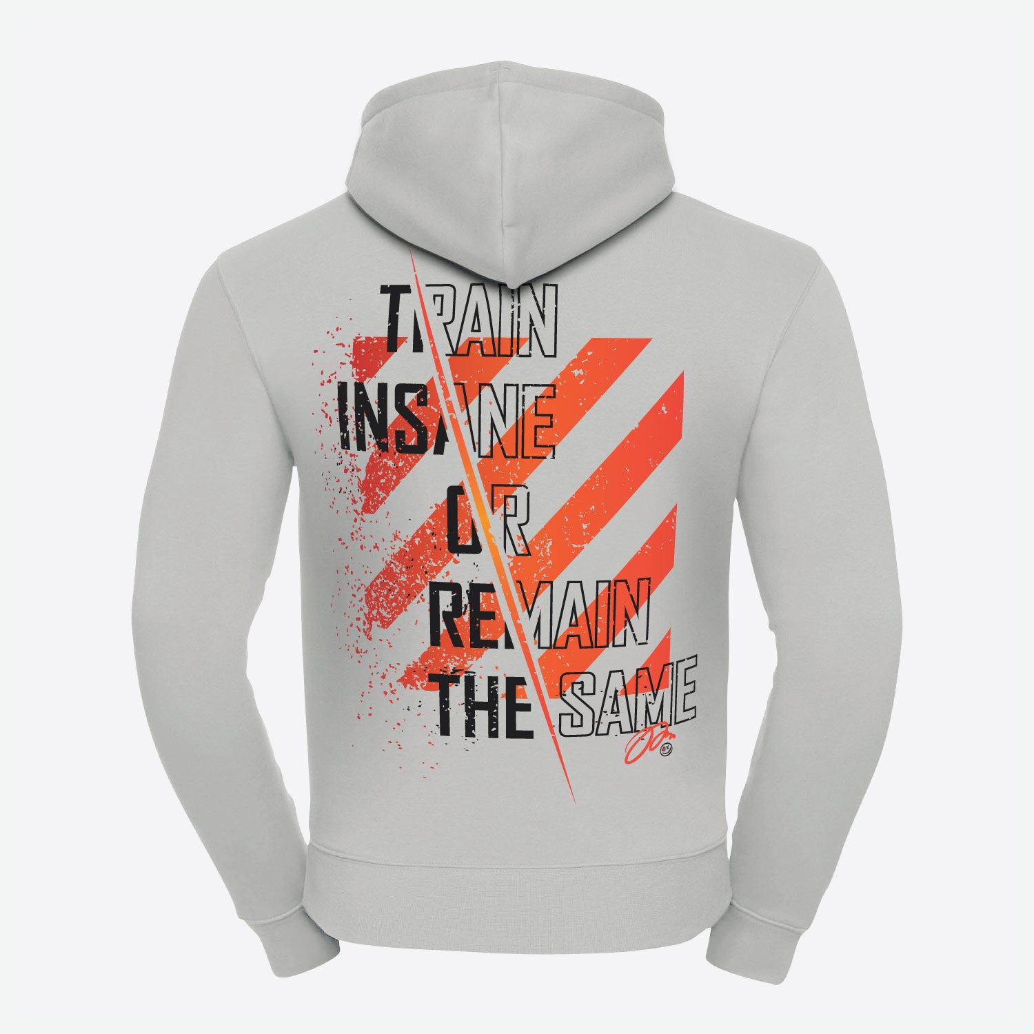 Hoodie-Strive-X-urban-grey-back