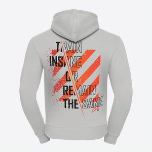 Hoodie-Strive-X-urban-grey-back