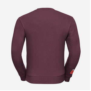 Sweatshirt-Not-Being-Average-aubergine-back